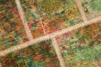 Patchwork Green