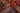 Kashan Red