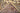 Kashan Beige