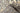 Kashan Beige