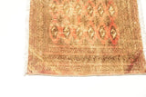 Turkman Pink