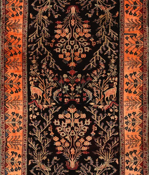 Sarab Black