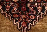 Bidjar Brown