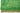 Yalleh Green
