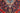 Kashan Red