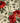 Gabbeh-Rosa Green