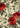 Gabbeh-Rosa Green