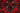 Afghan Khal Mohamadi Red