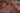 Kashan Red