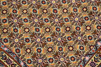Moud sherkat Fars Beige