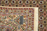 Moud sherkat Fars Beige