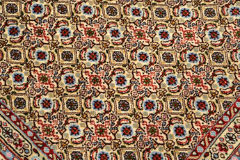 Moud sherkat Fars Beige