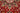 Ghom Sherkat Fars Red