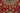 Nadjafabad Red