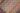 Moud Beige