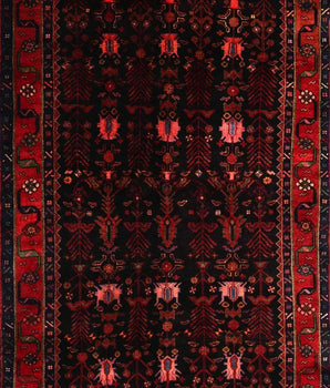 Koliai Black