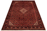 Hoseinabad Red