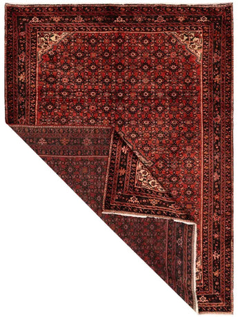 Hoseinabad Red