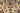 Kashan Beige