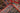 Kashan Red