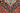 Kashan Red