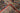 Kashan Red