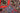 Hamadan Red