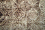 Baluch Brown