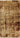 Baluch Brown