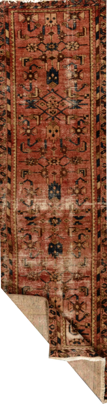 Malayer Red