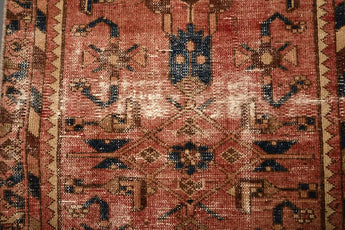 Malayer Red
