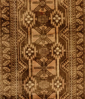 Baluch Brown