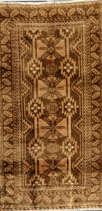 Baluch Brown