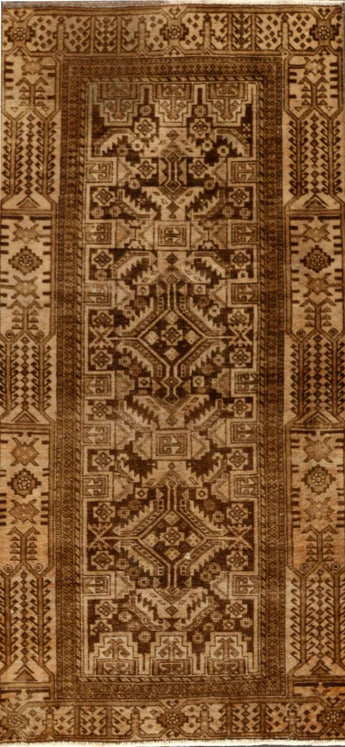 Baluch Brown