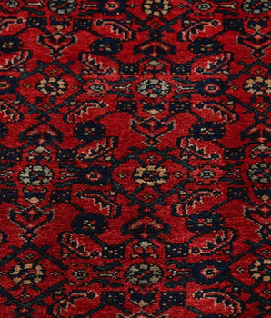 Hoseinabad Red