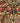 Ghom Beige