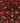 Hamadan Red