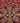 Kashan Red