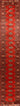Pakistan Red