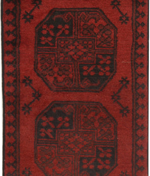 Afghan 64829