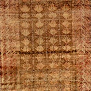 Baluch Brown