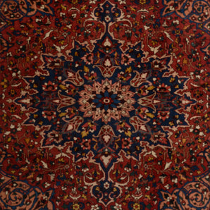 Orientmattor Handknuten Matta Bakhtiar Oriental, classic carpet with intricate patterns in 290x224 cm.