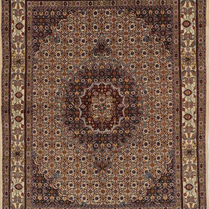 Moud sherkat Fars Beige