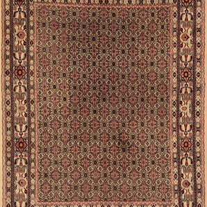 Moud sherkat Fars Beige
