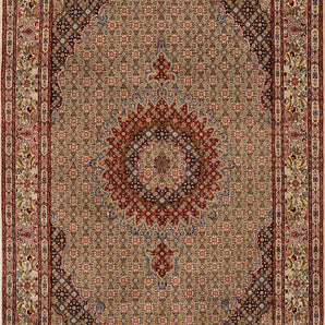 Moud sherkat Fars Beige
