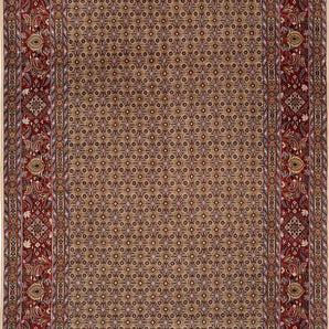 Moud sherkat Fars Beige