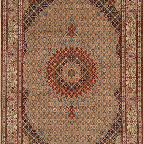 Moud sherkat Fars Beige