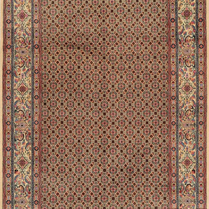 Moud sherkat Fars Beige