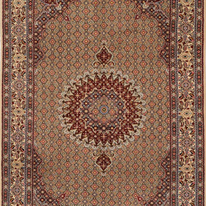 Moud sherkat Fars Beige