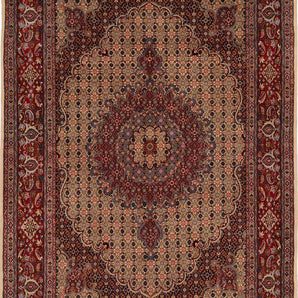 Moud sherkat Fars Beige